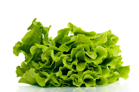 shutterstock_105254216 (Sal).png